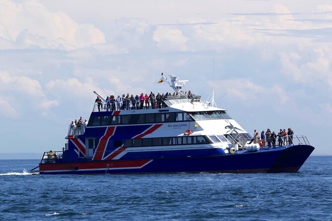 Only Wildlife and Whale Watching Tour Leaving from Seattle - Food, Drinks, and the Photo Question Nobody Wants to Ask
