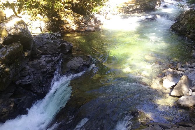 Private Cascade Mountains and Waterfalls Tour from Seattle - Franklin Falls and Your Choice in the Cascade Foothills