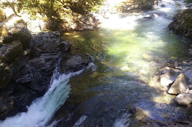Private Cascade Mountains and Waterfalls Tour from Seattle - Price and Value: Is $352.02 Per Person Fair?