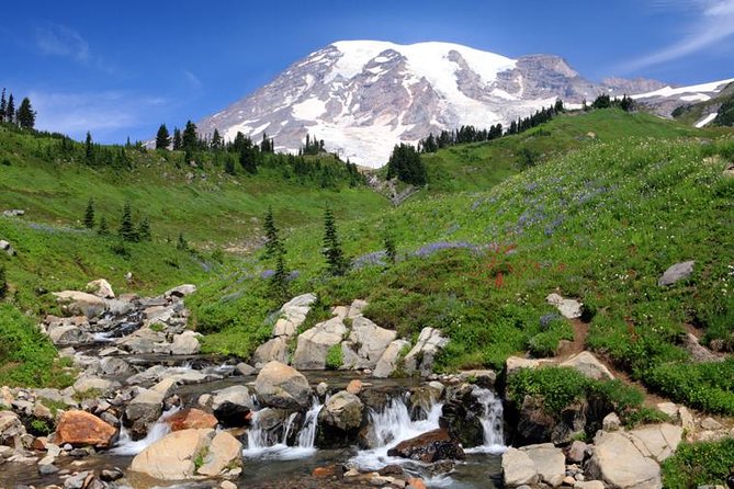 Private Mt Rainier National Park Day Trip from Seattle - Narada Falls: Mysterious Water With a Name That Feels Like a Story