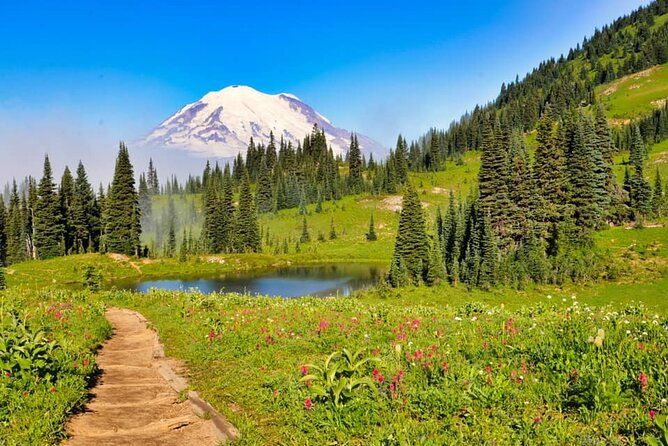 Private Mt Rainier National Park Tour in SUV - Key Things I’d Highlight Before You Go