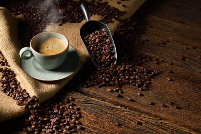 Roasted in Seattle Bean to Cup Coffee Tour - Sound View Cafe and Fonte Coffee: roasting talk you can actually use