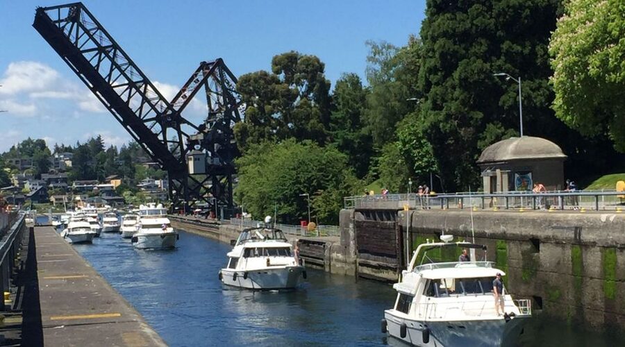 Seattle: 3-Hour City Highlights Tour - Romanesque streets, the public library area, and stations you’ll remember