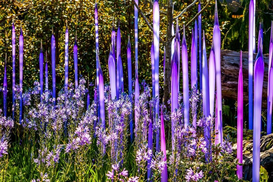 Seattle: Chihuly Garden and Glass Entry Ticket - Key Things I’d Pay Attention To