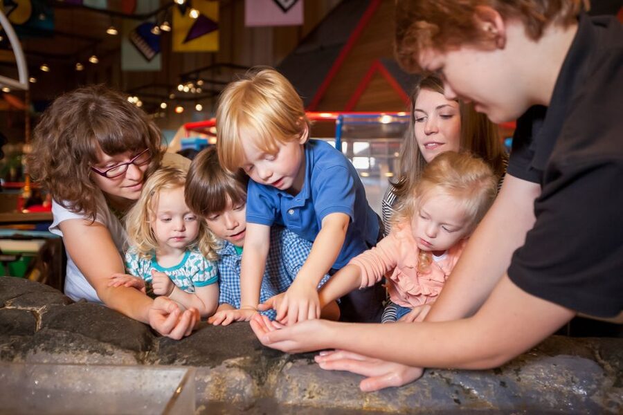 Seattle CityPASS®: Save up to 46% at 5 Top Attractions - Pick Your 3 Attractions: How to Choose Based on Your Energy