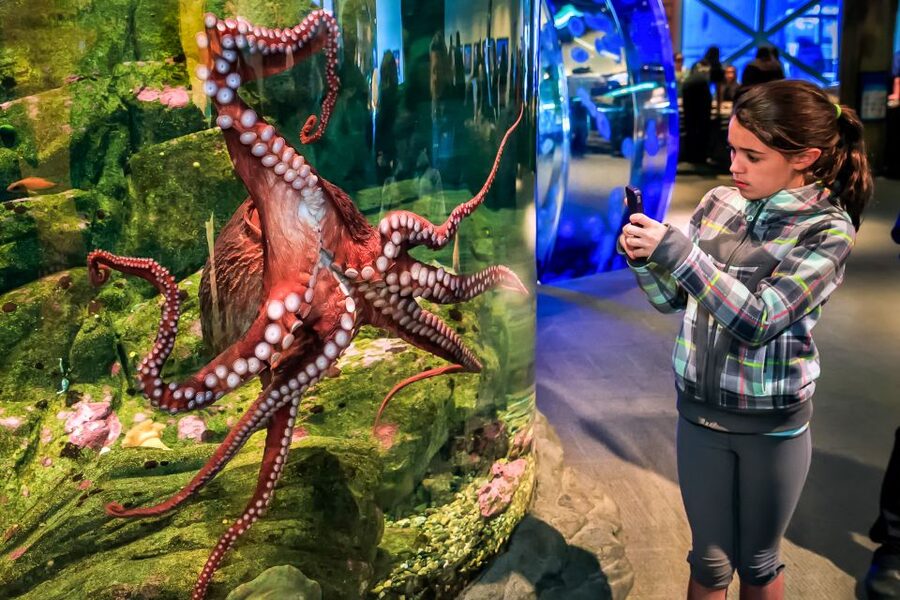 Seattle CityPASS®: Save up to 46% at 5 Top Attractions - Chihuly Garden and Glass: Glass Art That Makes Seattle Feel Like Art