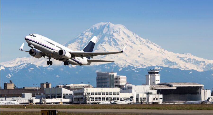 Seattle: Cruise Port City Sightseeing Tour - A 3-hour Seattle sampler that fits your cruise day