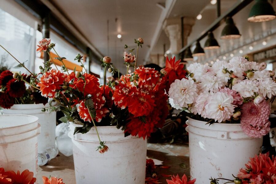 Seattle: Early-Bird Tasting Tour of Pike Place Market - Who This Tour Fits Best (And Who Might Want to Skip It)