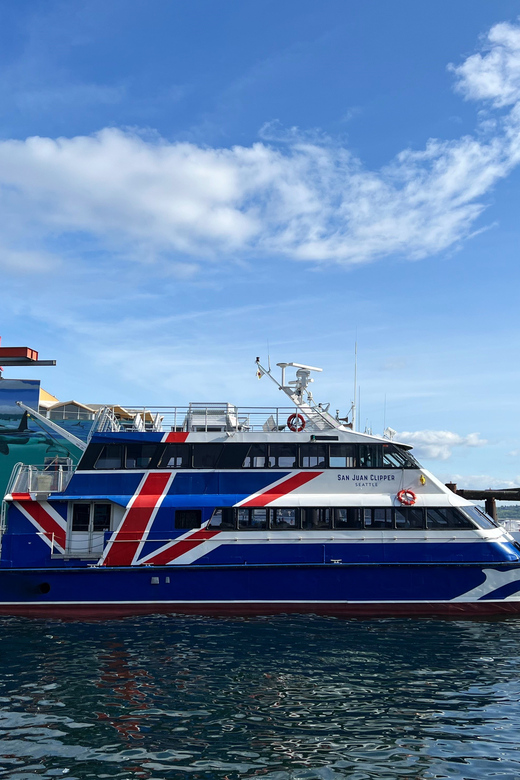 Seattle: Half-Day Wildlife and Whale Watching Cruise - From Pier 69 Out to the Salish Sea