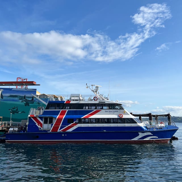 Seattle: Half-Day Wildlife and Whale Watching Cruise - Food and drinks onboard, plus comfort you will care about