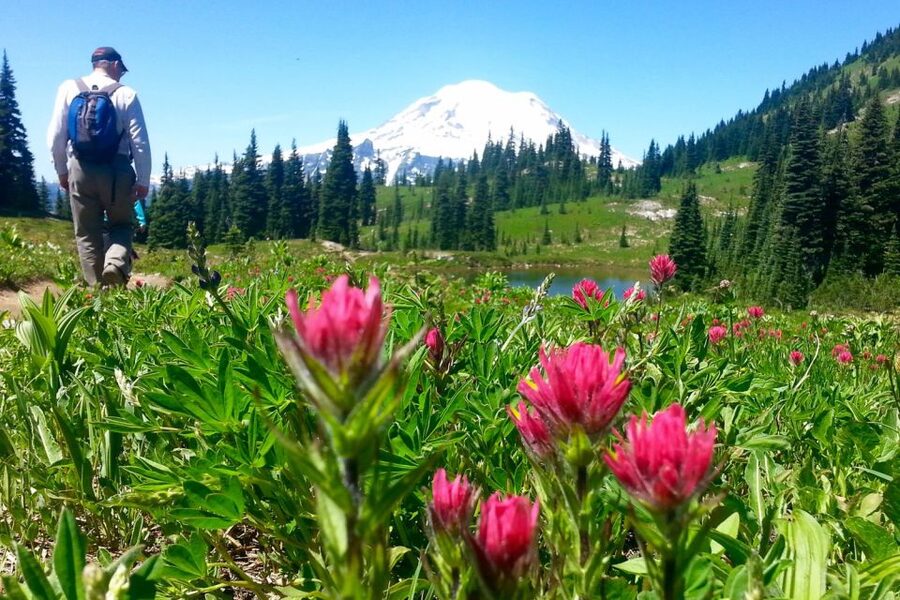 Seattle: Mount Rainier Park All-Inclusive Small Group Tour - Price and Logistics: Is $344 Worth It?
