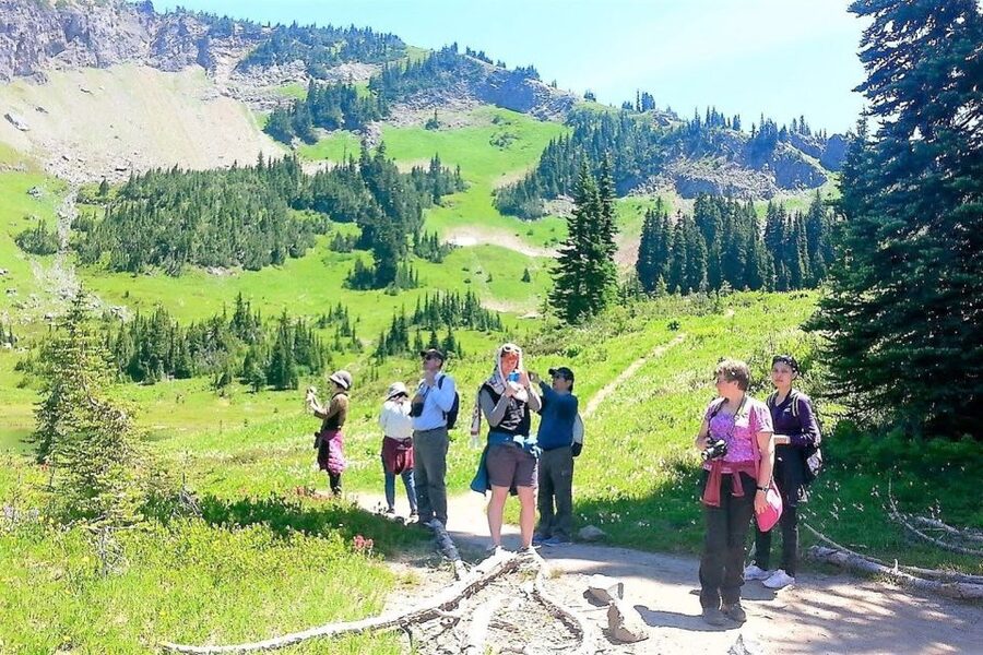 Seattle: Mount Rainier Park All-Inclusive Small Group Tour - Lunch From a Local Female-Owned Caterer, Plus Snacks That Keep You Going