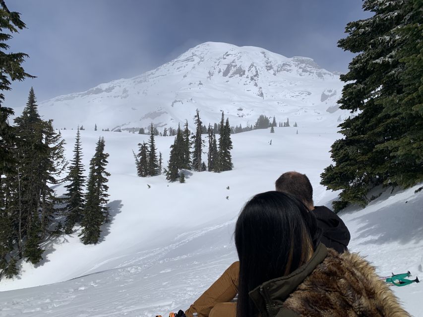 Seattle: Mt. Rainier Park Guided Full-Day Tour - Key highlights to know before you go