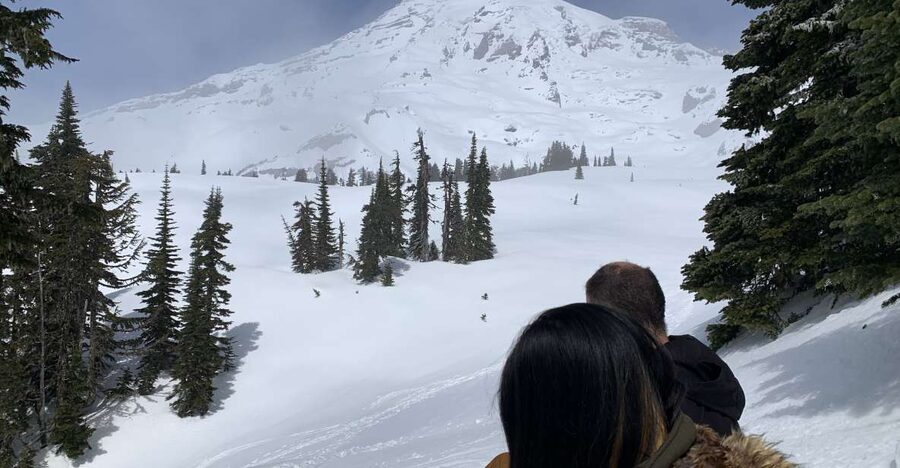 Seattle: Mt. Rainier Park Guided Full-Day Tour - Viewpoints and photo stops that don’t waste time