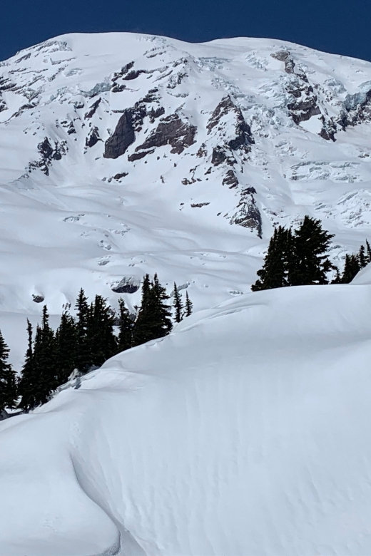 Seattle: Mt. Rainier Park Guided Full-Day Tour - Winter traction and cold-weather hiking gear: the tour’s real advantage