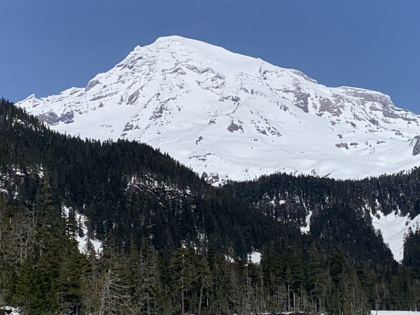 Seattle: Mt. Rainier Park Guided Full-Day Tour - Food, rest stops, and the small things that affect comfort