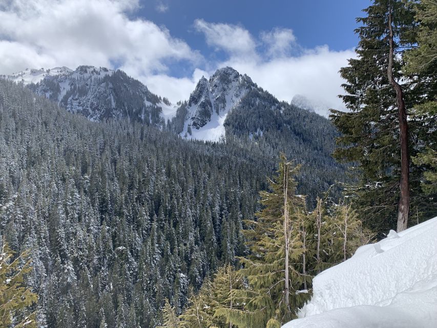 Seattle: Mt. Rainier Park Guided Full-Day Tour - Who should book this Rainier day tour, and who should skip it