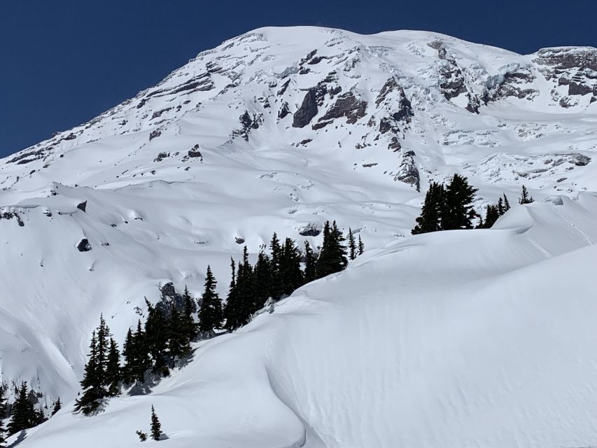 Seattle: Mt. Rainier Park Guided Full-Day Tour - The park’s best stuff: glaciers, waterfalls, and old-growth forest energy