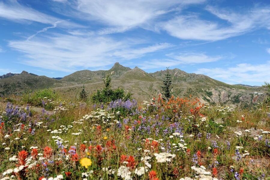 Seattle: Mt. St. Helens National Monument Small Group Tour - Who should book this Mt. St. Helens tour, and who should skip it