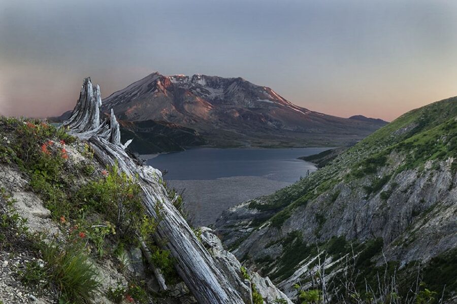 Seattle: Mt. St. Helens National Monument Small Group Tour - Price and value: what you get for $326