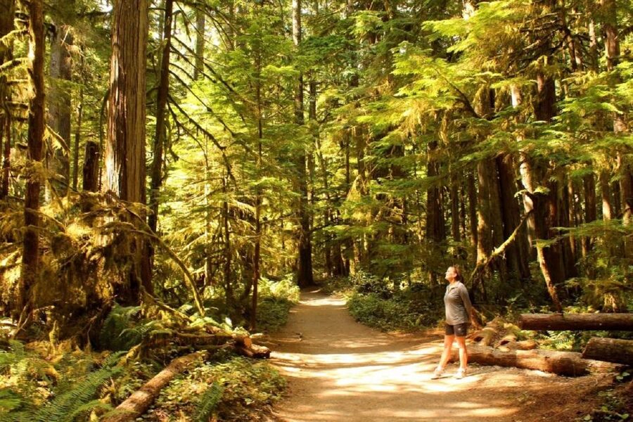 Seattle: Olympic National Park Small-Group Tour - Key Things I’d Bet Money On