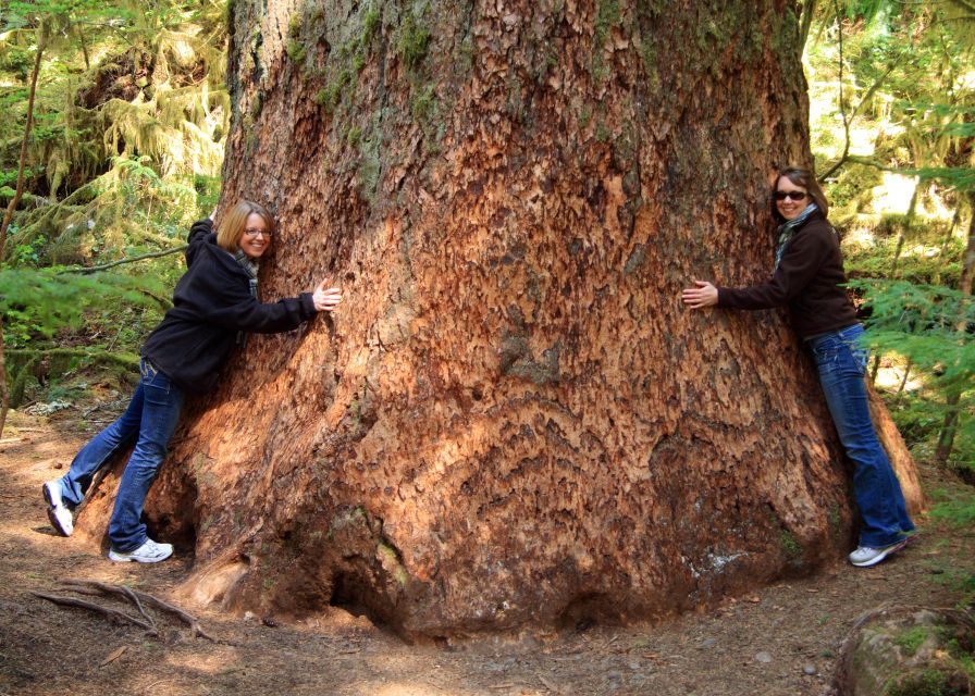 Seattle: Olympic National Park Small-Group Tour - Lake Crescent or Lake Quinault: Where the Scenery Calms Your Brain