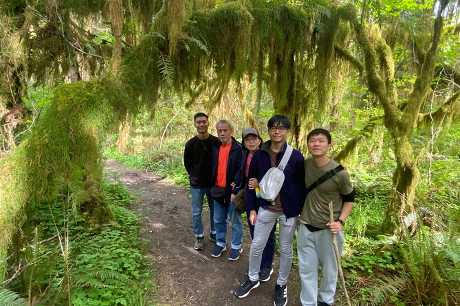 Seattle: Rainforest, Beach, and Olympic National Park Highlights - Hoh Rain Forest Hall of Mosses: The Walk, the Timing, and the Reality of Wait Times