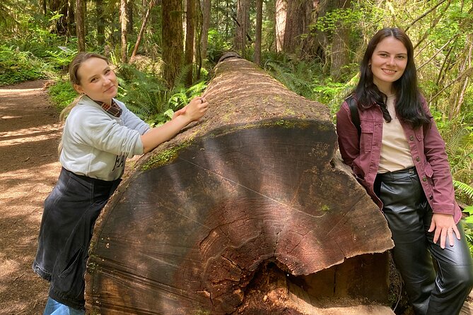 Seattle: Rainforest, Beach, and Olympic National Park Highlights - Getting Picked Up at The Westin, and Why the Small-Group Size Matters