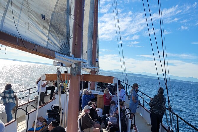 Seattle Sailing Harbor Tour - Space Needle views that actually make sense from the water