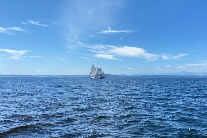 Seattle Sailing Harbor Tour - The Seattle Waterfront and skyline: where the water changes the photo game