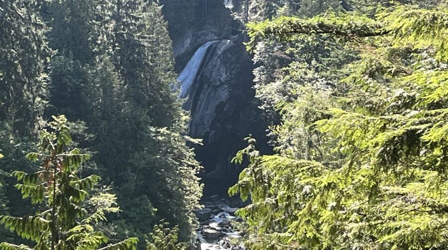 Seattle: Snoqualmie Falls and Twin Falls Guided Tour - Key highlights that make this tour worth your time