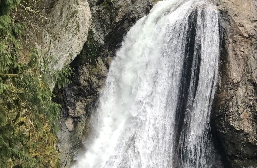 Seattle: Snoqualmie Falls and Twin Falls Guided Tour - Who this tour fits, and who should reconsider