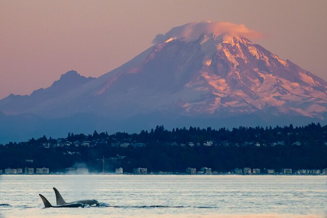 Seattle Sunset Sail BYOB - The weather reality: windchill and what to wear