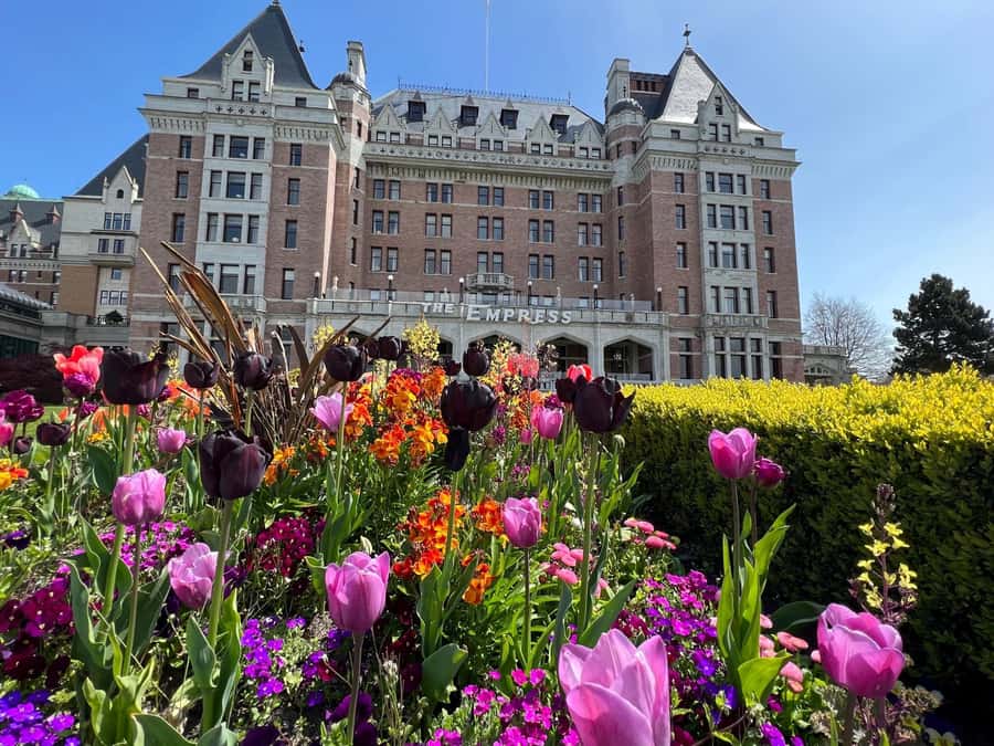 Seattle: Victoria, BC Round-Trip Ferry Tour - Duty-Free Alcohol and Onboard Shopping Savings
