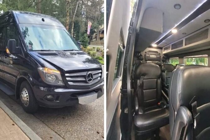 Seattle,Wa Downtown Hotel/Pier/Port Transportation - Choosing the right vehicle size for luggage, kids, and groups
