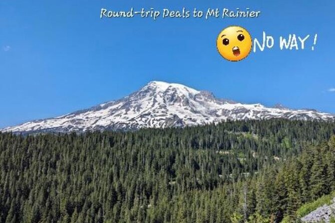 Seattle, WA Hourly Rental Around Town & Sightseeing - Is it worth $90? A value check that makes sense