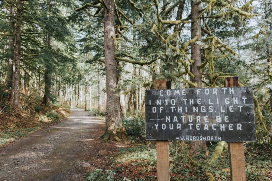 Seattle: Waterfall Wonderland Hike in Wallace Falls Park - Gear and small-group hiking comfort in Seattle waterfall country