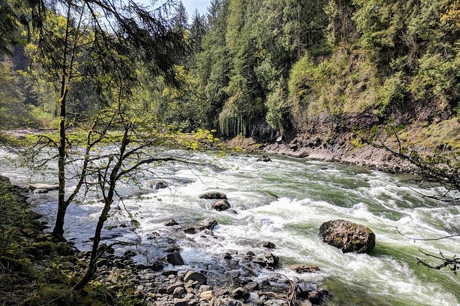 Seattle Wine and Waterfall Luxury Small-Group Day Tour with Lunch - Lunch at Heritage Restaurant|Bar in Snoqualmie Valley