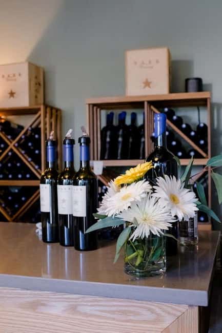 Seattle: Woodinville Guided Wine Tour with Optional Tastings - Start at a Bigger Winery First: Getting Context Before the Bottles