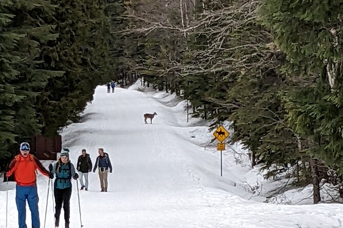 Shuttle to Snoqualmie Pass Ski and Snowboard - Timing your day: leaving after the last chair, and night skiing plans too