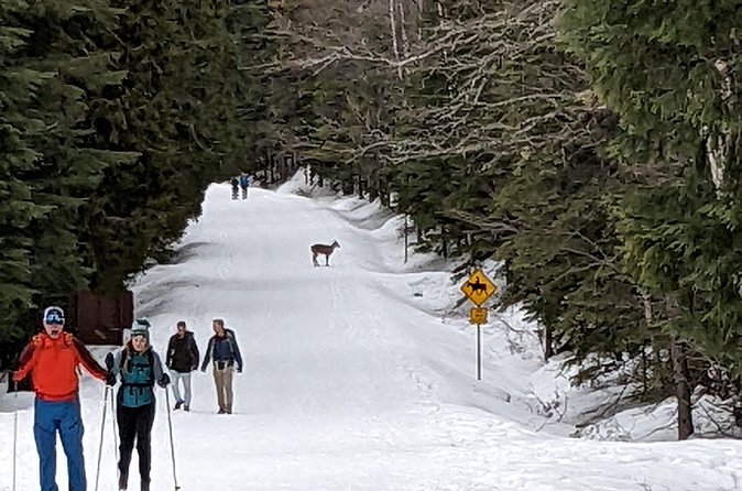 Shuttle to Snoqualmie Pass Ski and Snowboard - Who this Seattle Outdoor Adventures shuttle suits best