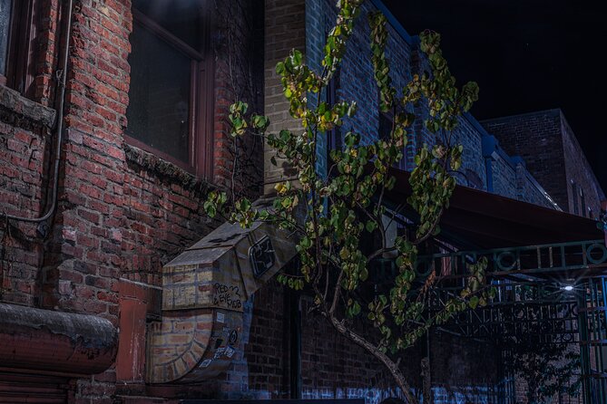 Sinister Sins, Scandal, and Shadows: Seattle Ghost Tour - Hearing the Stories in Real Seattle: Stairs, Hills, Rain, and Group Size