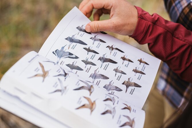 Skagit Valley Birding + Deception Pass Day Tour From Seattle - Key things I’d plan around