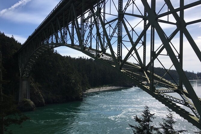 Skagit Valley Birding + Deception Pass Day Tour From Seattle - From Sheraton pickup to a full day north: what the timing really feels like