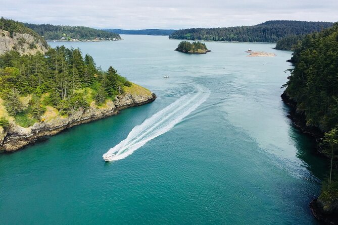 Skagit Valley Birding + Deception Pass Day Tour From Seattle - Skagit Wildlife Area: where winter birds turn farmland into a viewing hall