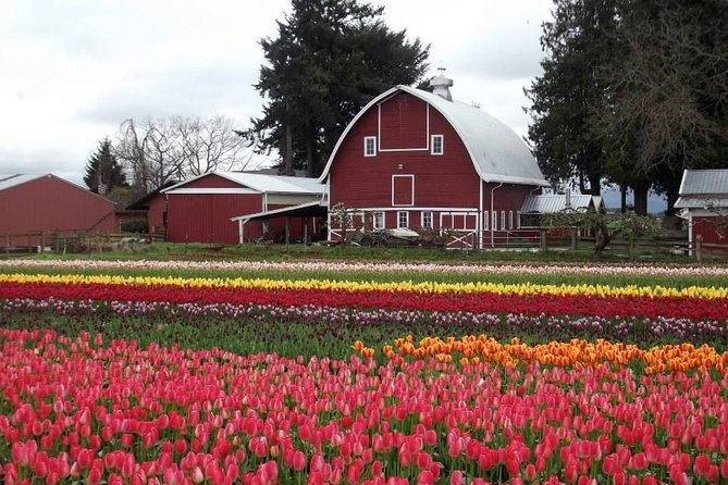 Skagit Valley Tulip Festival Day Tour from Seattle - Budget and value: what the $185.72 price covers