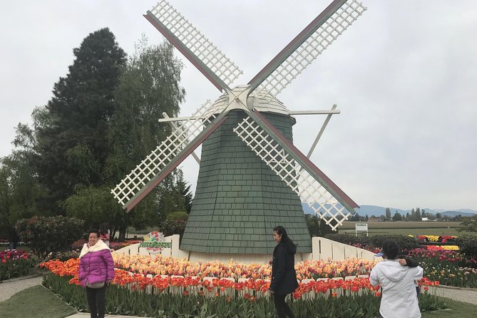 Skagit Valley Tulip Festival Day Tour from Seattle - Getting the best tulip results: timing and crowd strategy