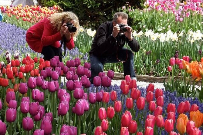 Skagit Valley Tulip Festival Day Tour from Seattle - Tulip Valley Farms: your first tulip field immersion stop
