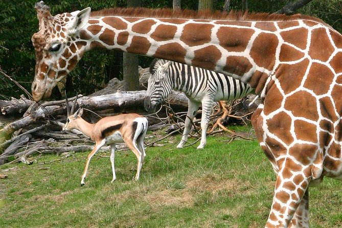 Skip the Line: Daily Admission at Woodland Park Zoo Ticket - Key takeaways before you go