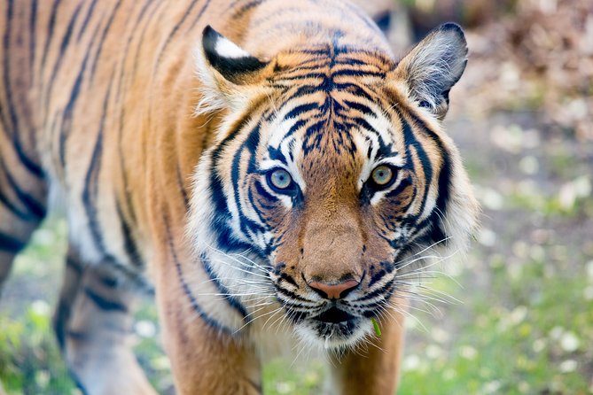 Skip the Line: Daily Admission at Woodland Park Zoo Ticket - Zoomazium indoor play space: when kids need a reset, not a retreat
